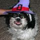 olive76's picture