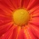 kastarte2's picture
