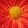 kastarte2's picture