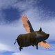 cmh79's picture