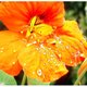 alfa913's picture