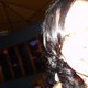 Miva's picture