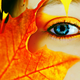 -Lora-'s picture