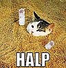 Halp