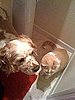 Charlie and his brother
