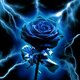 ThunderRose's picture