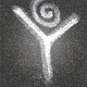 visYoga's picture