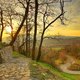 kiwiblu's picture