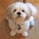 lildorothyparker's picture