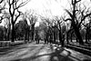 Central Park