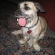 danizzle's picture