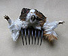Guinea Pig Hair Comb