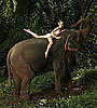 #4:  All Ears