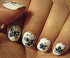 Monochrome Butterfly