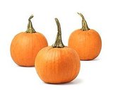 Chicken Pumpkin Stew