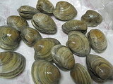 Clams Casino