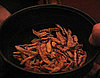 Deep-Fried Spiced Bamboo Worms