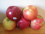 Traditional Apple Pie