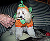10 Lil Pup-kins