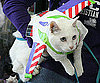 Buzz Lightyear