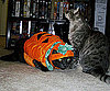 Jack O'Lantern and a Pal