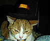 Witchy Poo