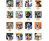 Humane Society and SPCA