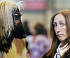 Local Breeders