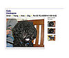 Petfinder