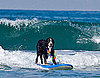 Hawaiian Bernese