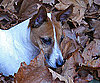 Hide and Seek