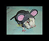 Mouse in the House