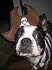 Arrrrrrrr