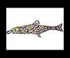 Jackson Pollock Fish
