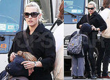f   a          b         winslet