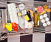 Stock Up on Grocery Sales