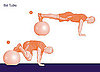 Ball Tucks