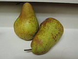 Pear Crisp