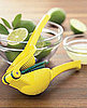Two-in-One Citrus Juicer