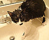Testing For (No) Water