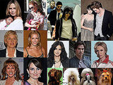 Best of 2009 Slideshows, Quizzes, & Polls!