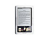 Barnes and Noble Nook ($259) 