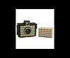 Golden Half Zebra Camera ($52)
