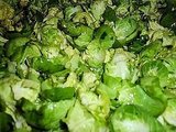 Leaf Us Alone Brussels Sprouts