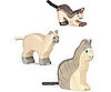 Wooden Cats