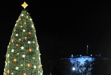 Guess What Type of Lights Are on the National Christmas Tree?
