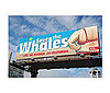 <a href="http://www.fitsugar.com/4223135">PETA Save the Whales Ad: On Target or Over the Line?</a>