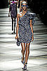 Sessilee Lopez
Lanvin Spring 2009 Ready To Wear