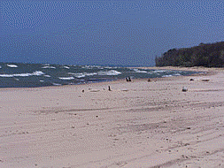 landscape picture of sandy Lake Michigan with a view of people from from a distance