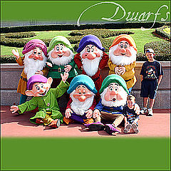 seven dwarfs